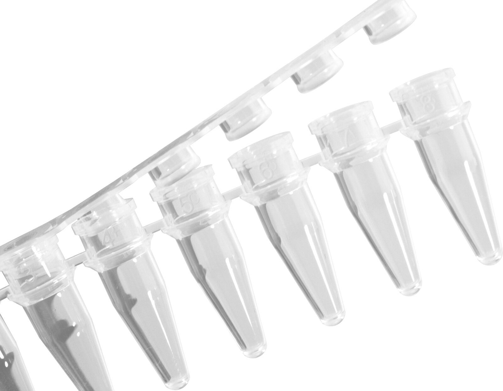 8-Strip PCR Tube