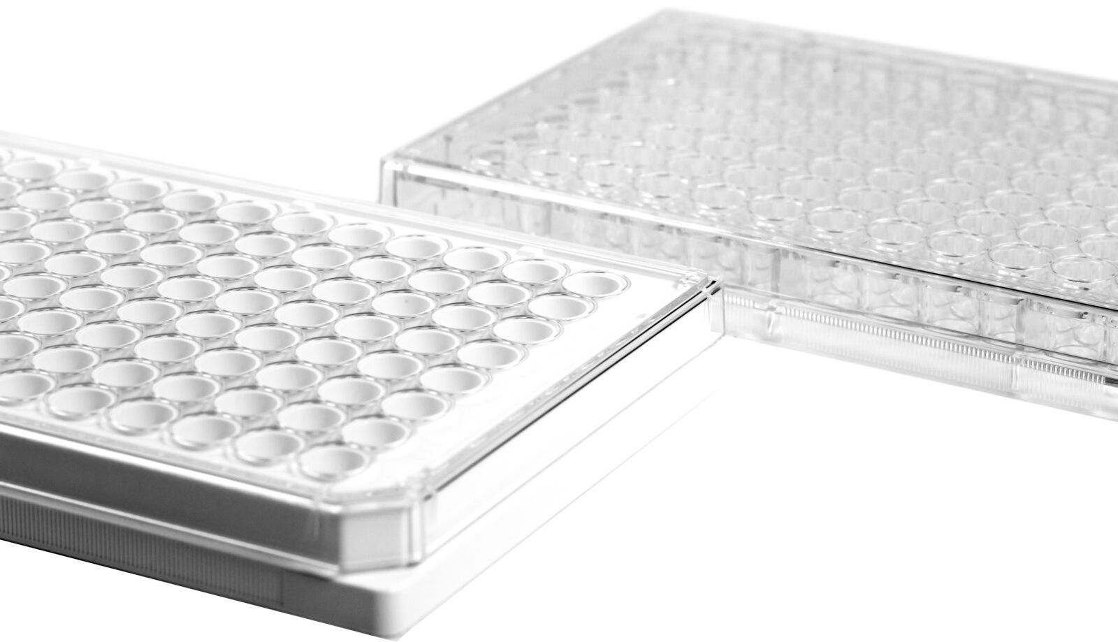 Immunoassay