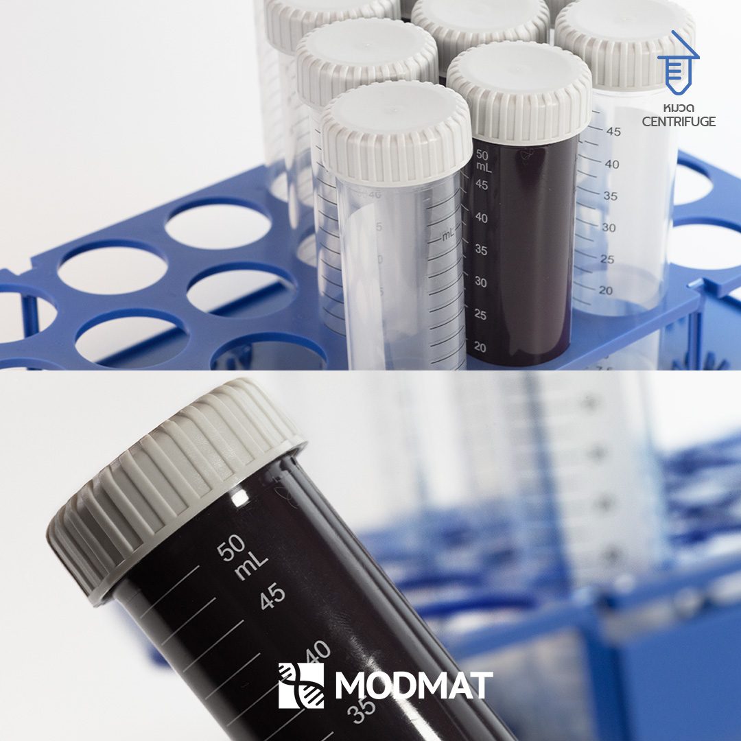 MODMAT 50 mL tubes in their rack
