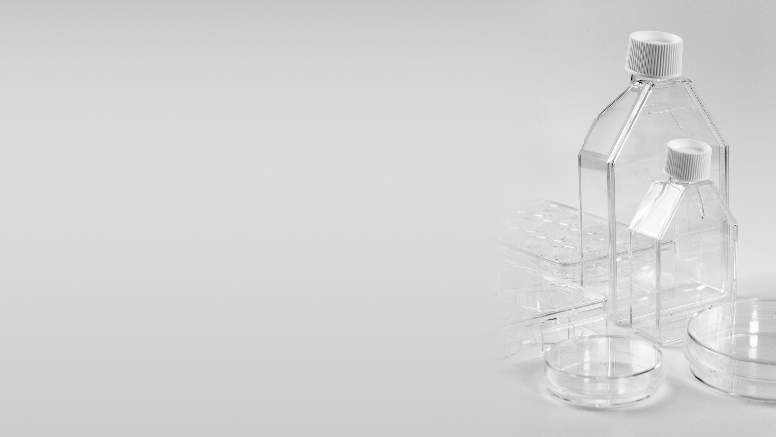 MODMAT cell culture flasks, plates and dishes