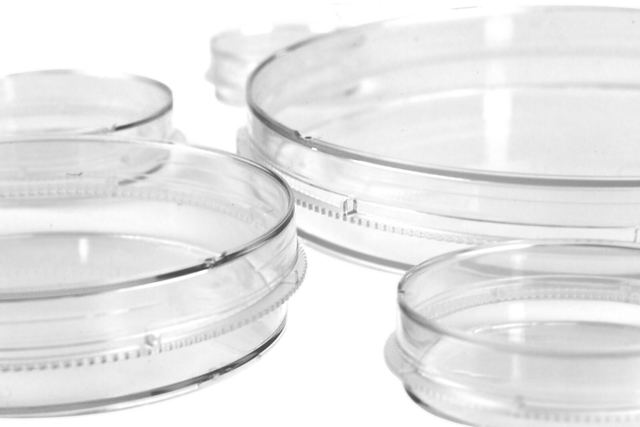 Cell Culture Dish
