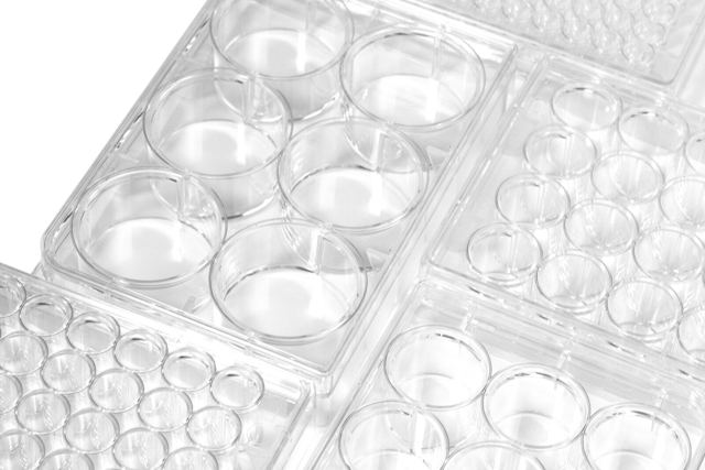 Cell Culture Plate