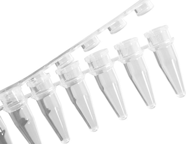 8-Strip PCR Tube
