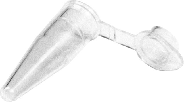 PCR Tube